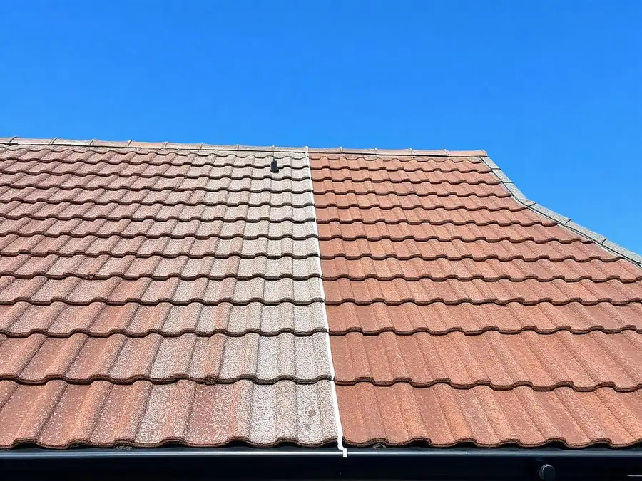Roof Cleaning